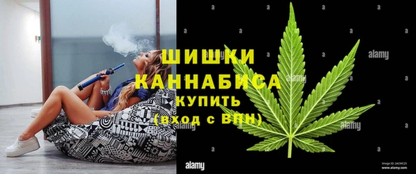 стаф Карпинск