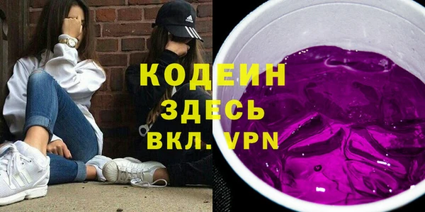 индика Карталы