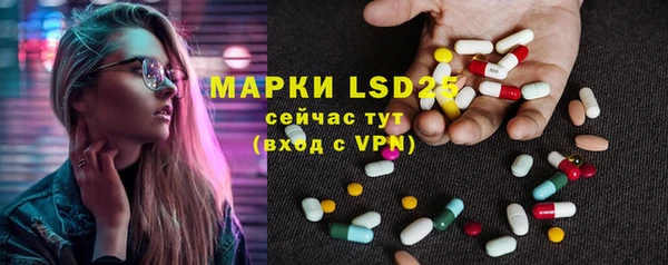 индика Карталы