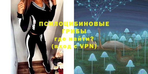 стаф Карпинск