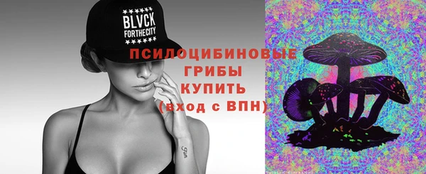 ГАЛЛЮЦИНОГЕННЫЕ ГРИБЫ Каменск-Шахтинский