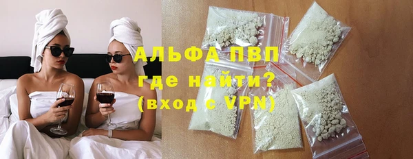 стаф Карпинск