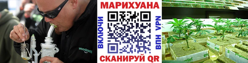 Бошки марихуана Amnesia  Купить закладки  Железногорск-Илимский 